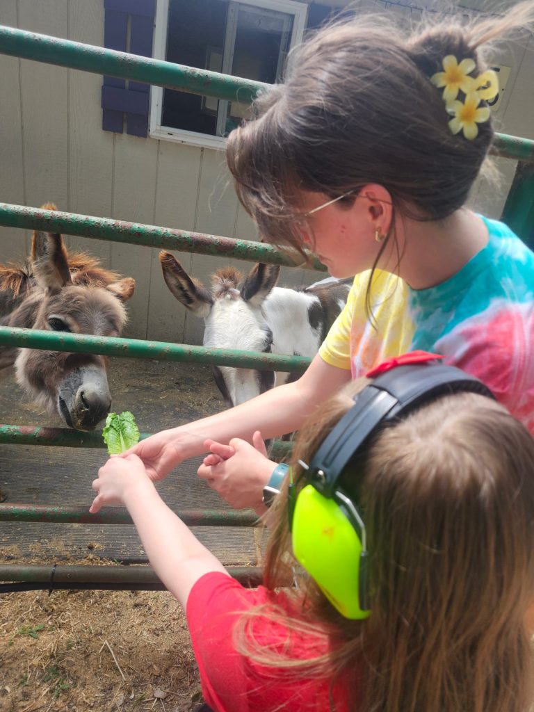 Summer camp counselor helping camper feed goats lettuce.